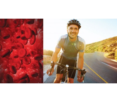 Turn on Your Body’s Youth Switch